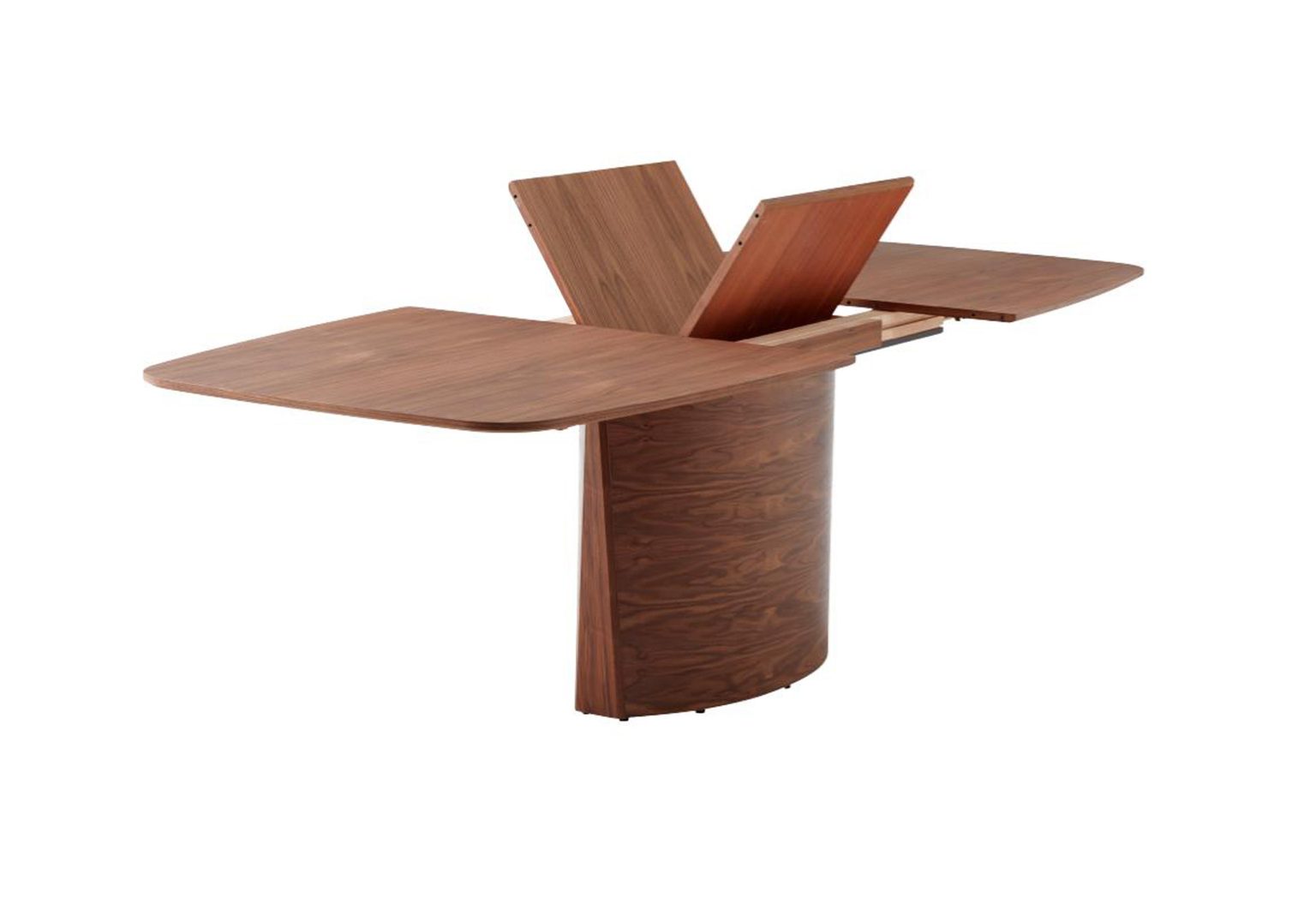 SM116 Walnut Angle Open Leaf 1 1