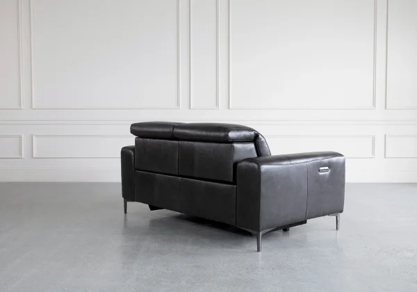 cardero-leather-loveseat-cardbon-back