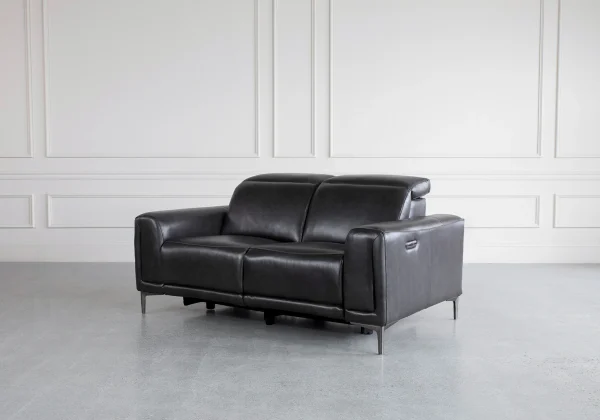 cardero-leather-loveseat-carbon_angle