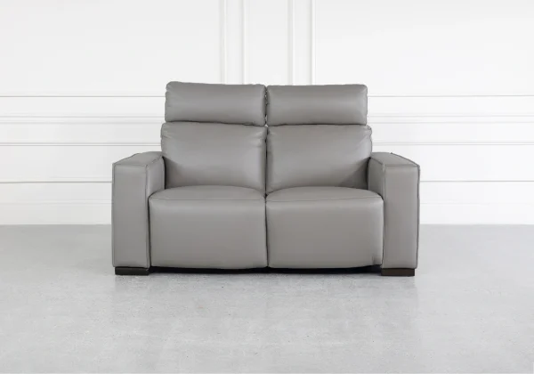 Lotus Iron Leather Loveseat - Front